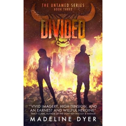 Divided Paperback, Ineja Press