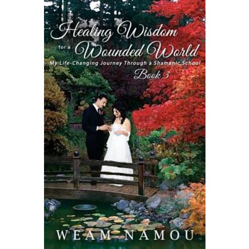 Healing Wisdom for a Wounded World: My Life-Changing Journey Through a Shamanic School Paperback, Hermiz Publishing, Inc.
