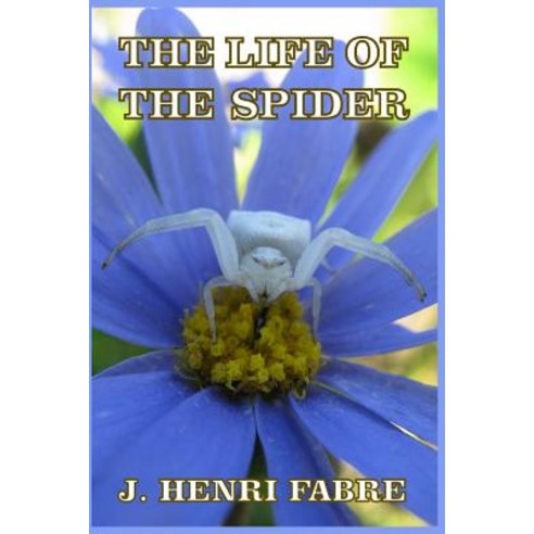 The Life of the Spider Paperback, Blurb