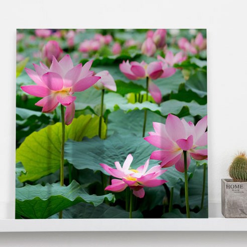 꾸밈 부귀의 상징 연꽃 아크릴액자 ch875, 타입8