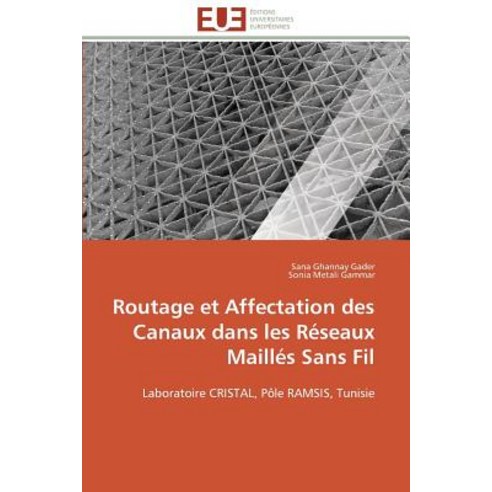 Routage Et Affectation Des Canaux Dans Les Reseaux Mailles Sans Fil = Routage Et Affectation Des Canau..., Univ Europeenne