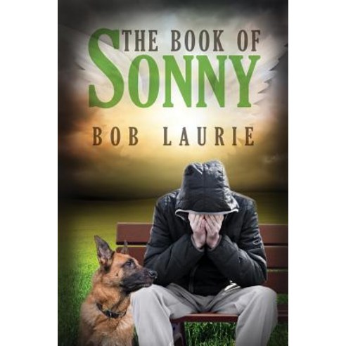 The Book of Sonny Paperback, I Am Publishing - 가격 변동 추적 그래프 - 역대가