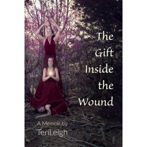 The Gift Inside the Wound Paperback, Terileigh LLC