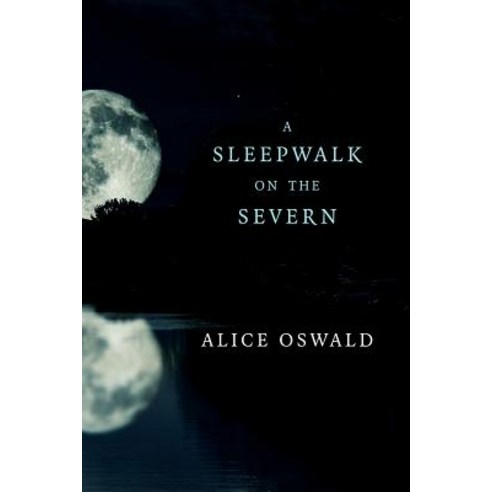 A Sleepwalk on the Severn Paperback, W. W. Norton & Company
