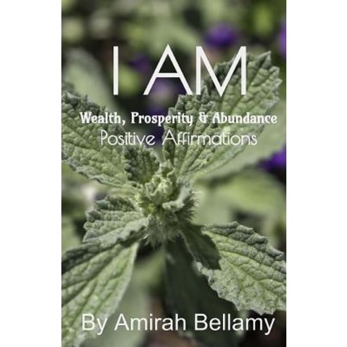 I Am Wealth Prosperity & Abundance Positive Affirmations Paperback, Createspace Independent Publishing Platform