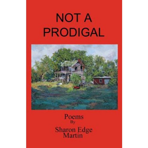 Not a Prodigal Paperback, Village Books Press