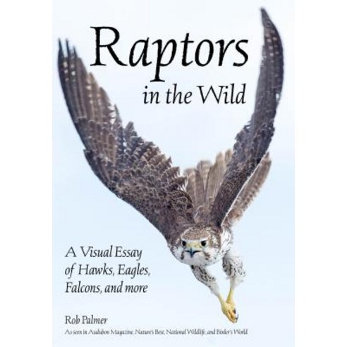 Raptors in the Wild: A Visual Essay Paperback, Amherst Media