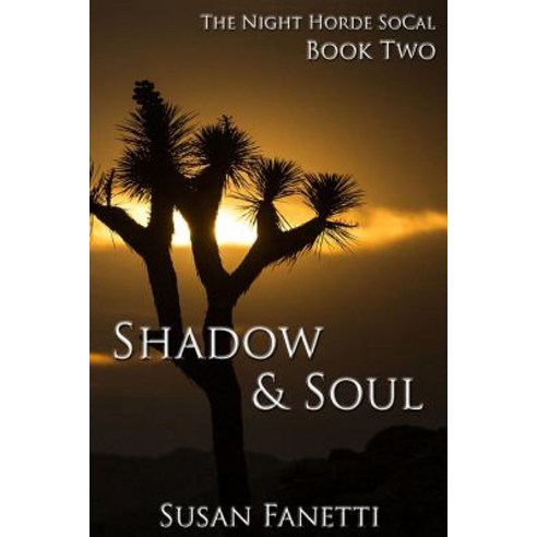Shadow & Soul Paperback, Createspace Independent Publishing Platform