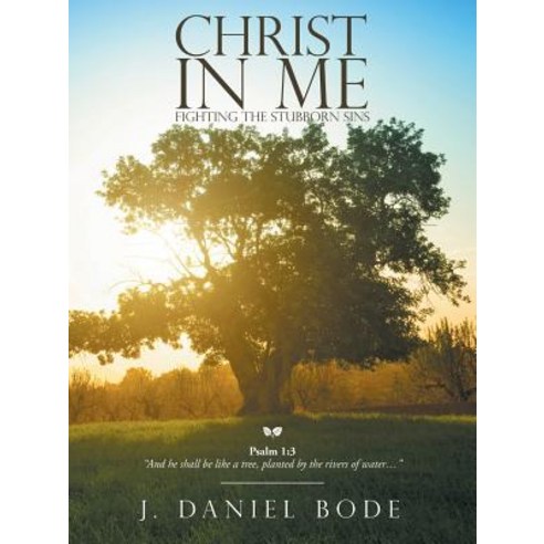 Christ in Me: Fighting the Stubborn Sins Paperback, WestBow Press