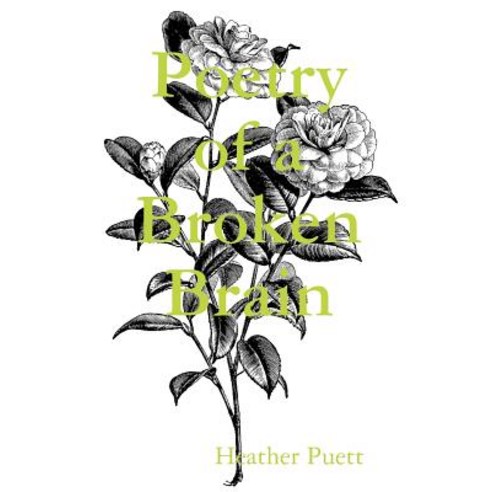 Poetry of a Broken Brain Paperback, Lulu.com