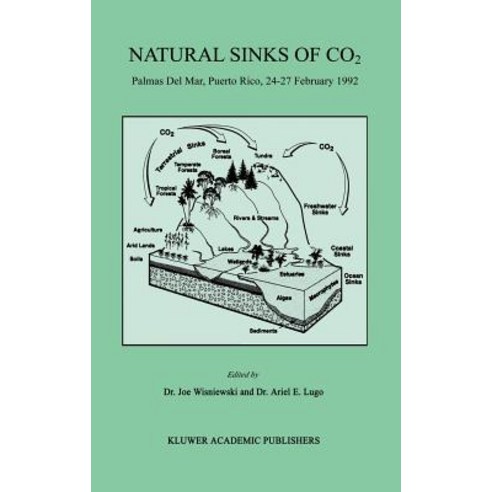 Natural Sinks of Co2: Palmas del Mar Puerto Rico 24-27 February 1992 Hardcover, Springer