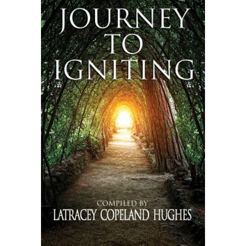 Journey to Igniting Paperback, Purposeful Publishing and Consulting