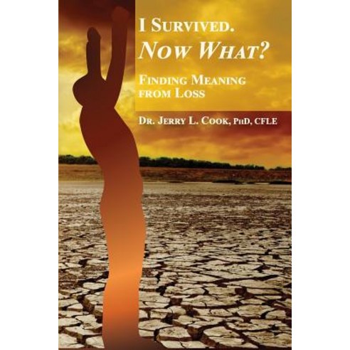 I Survived. Now What?: Finding Meaning from Loss. Paperback, C Collaborative LLC