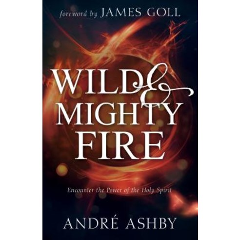Wild and Mighty Fire: Encounter the Power of the Holy Spirit Paperback, Whitaker House