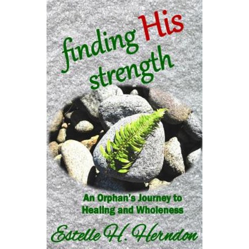 Finding His Strength: An Orphan''s Journey to Healing and Wholeness Paperback, Tmp Books