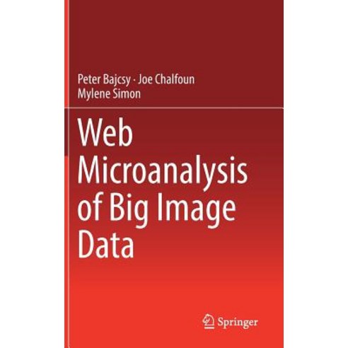 Web Microanalysis of Big Image Data Hardcover, Springer