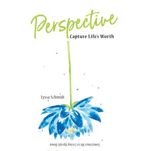 Perspective: Capture Life''s Worth Paperback, Author Lyssa Schmidt