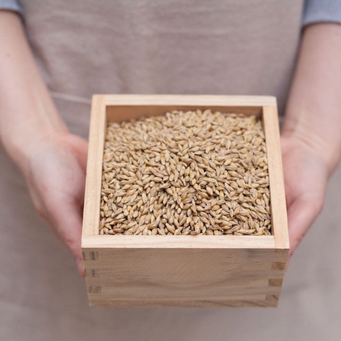 통겉보리 5kg – 국산햇보리 엿기름 보리차 씨앗 부안 청보리 통겉보리 5kg – 국산햇보리 엿기름 보리차 씨앗 부안 청보리