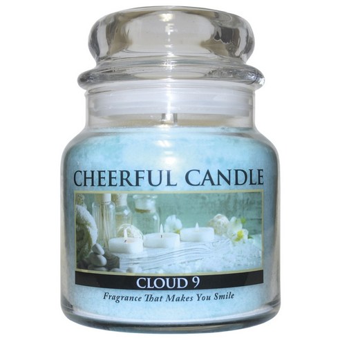 어치어풀기버 치어풀 자캔들, Cloud 9, 453.6g