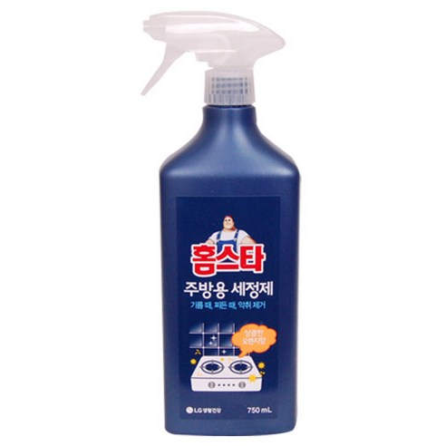 홈스타 주방을 부탁해 세정 스프레이, 750ml, 1개