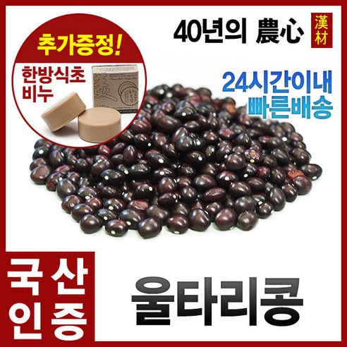 자애인 국산 울타리콩 600g 밤콩 제비줄콩, 단품, 1개