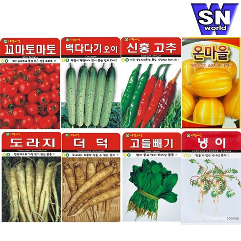 SN월드 씨앗 상추 방울토마토 당근 고추 양파 허브 새싹 꽃씨 야생화, ▶d민속특수씨앗◀ ★벤트그라스