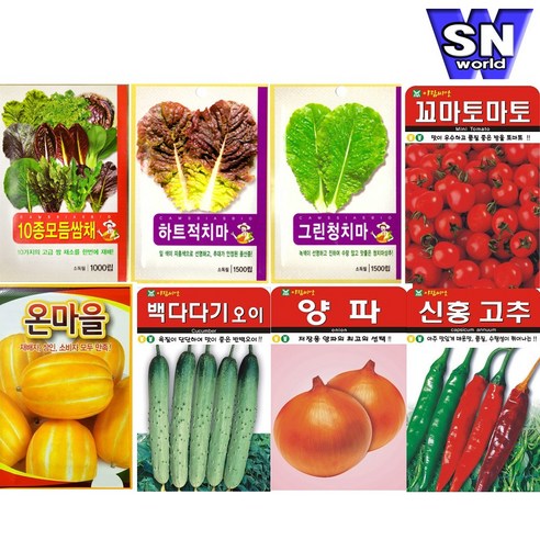 한국의 전통 특이 식물씨앗 다양한 종류 중에서 일당귀 제외하여 소개합니다. 양파씨앗 한국의 전통 특이 식물씨앗 다양한 종류 중에서 일당귀 제외하여 소개합니다. 양파씨앗