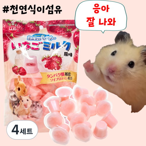 [BEST] 프리미엄 헤어볼예방 천연식이섬유 딸기우유맛 젤리 햄스터 토끼 친칠라 간식, 4세트, 12개 (완품)