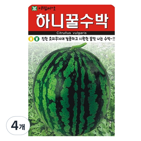 하니꿀수박 씨앗 20립, 4개