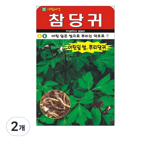 참당귀 씨앗 200립, 2개
