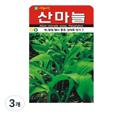 산마늘(명이나물) 씨앗 50립, 3개