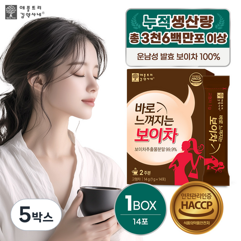 악마다이어트 바로 느껴지는 보이차, 1g, 14개입, 5박스