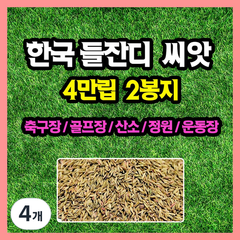 한국들잔디 씨앗 4만립 (중포장) 축구장 골프장 공원 산소 잔듸, 4개