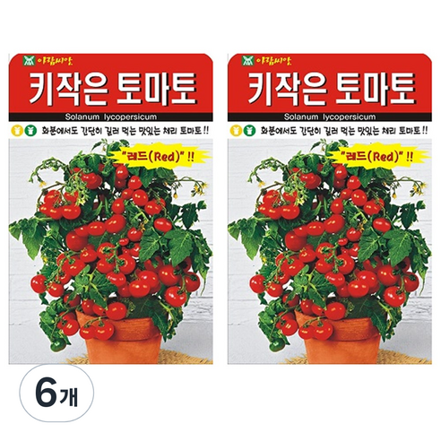 키작은 토마토 씨앗, 6개