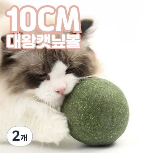 코야미 캣닢볼 고양이 장난감, 2개, 대왕캣닢볼