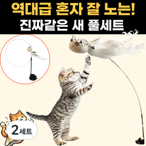 스마일플로우 진짜같은 새 고양이 최애 풀세트 튼튼 고정 낚시대 장난감, 2세트, 골져스 새