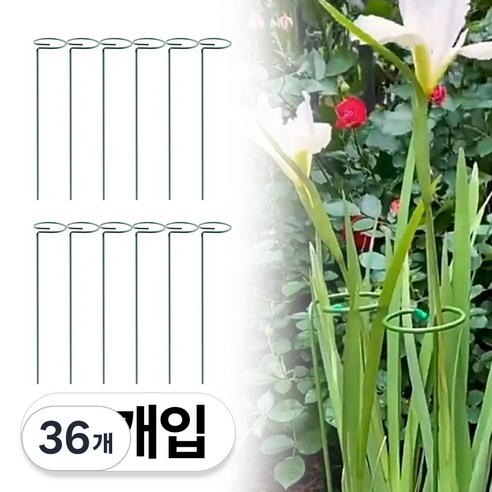 2025 NEW 고리형 식물 화분 화초 난초 지지대 48cm, 36개