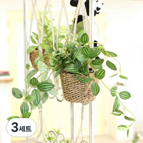 [1+1]인테리어 조화 행잉플랜트 벽장식 가랜드 뉴행잉넝쿨화분바구니세트, 3세트, 페페