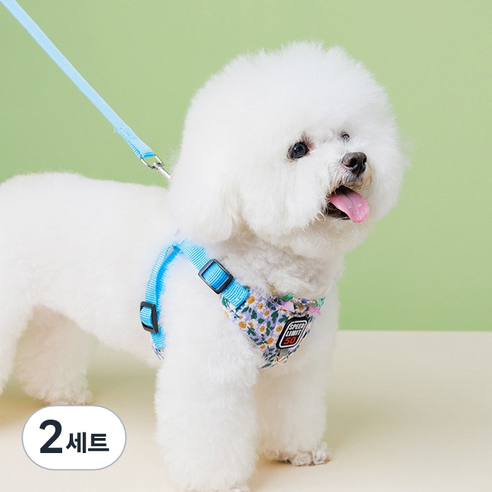 강아지 하네스 가슴줄 앞섬방지 리드줄 소형견, 블루, 2세트
