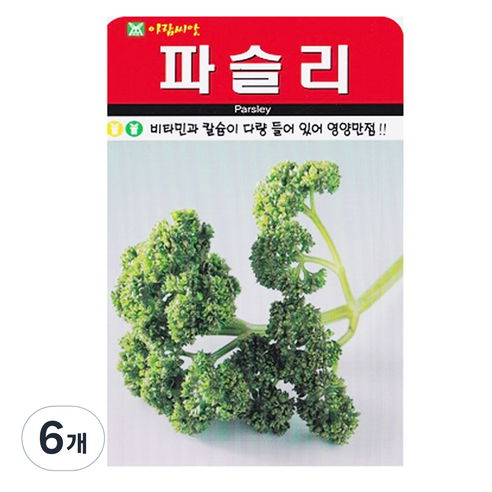 파슬리 씨앗 씨 종자, 6개