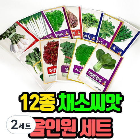 채소 씨앗 올인원 12종 세트, 2세트