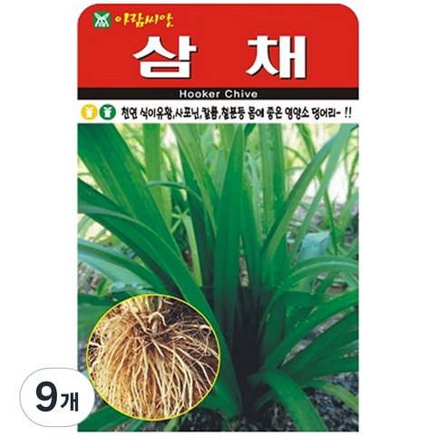 삼채 씨앗 씨 종자, 9개