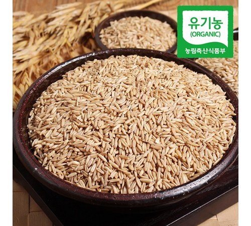 영양 가득한 발아 귀리