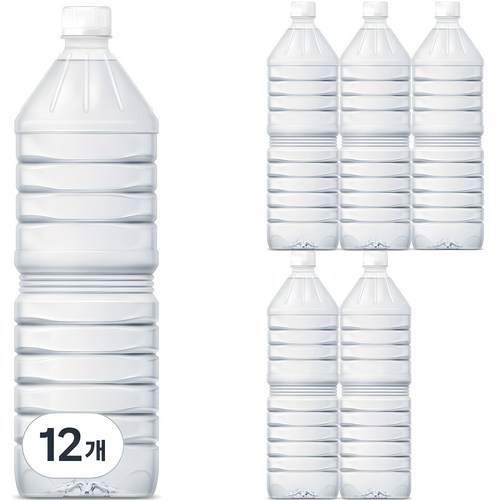 물하나 ECO 생수 무라벨, 2L, 12개