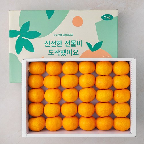 GAP 올레길 당도선별10brix 감귤세트, 2kg(로열과), 1박스