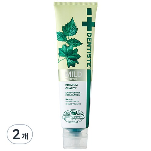 덴티스테 마일드 나이트타임 튜브형 치약, 160g, 2개
