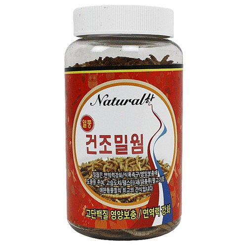 동결건조밀웜