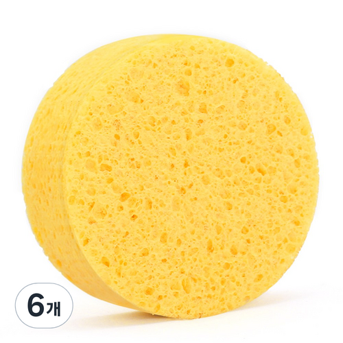 해면