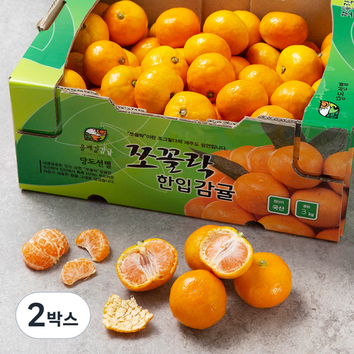 GAP 올레길 쪼꼴락 당도선별 10brix감귤, 3kg, 2박스