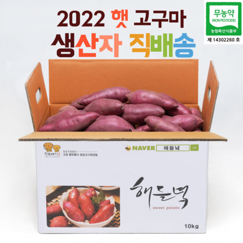 생산자직배송/ 해들녘 무농약 고창황토고구마 3/5/10kg x (왕/ 특상/ 중/ 한입) 사이즈, 해들녘고구마 5kg (왕 사이즈) - 채소 배달 추천